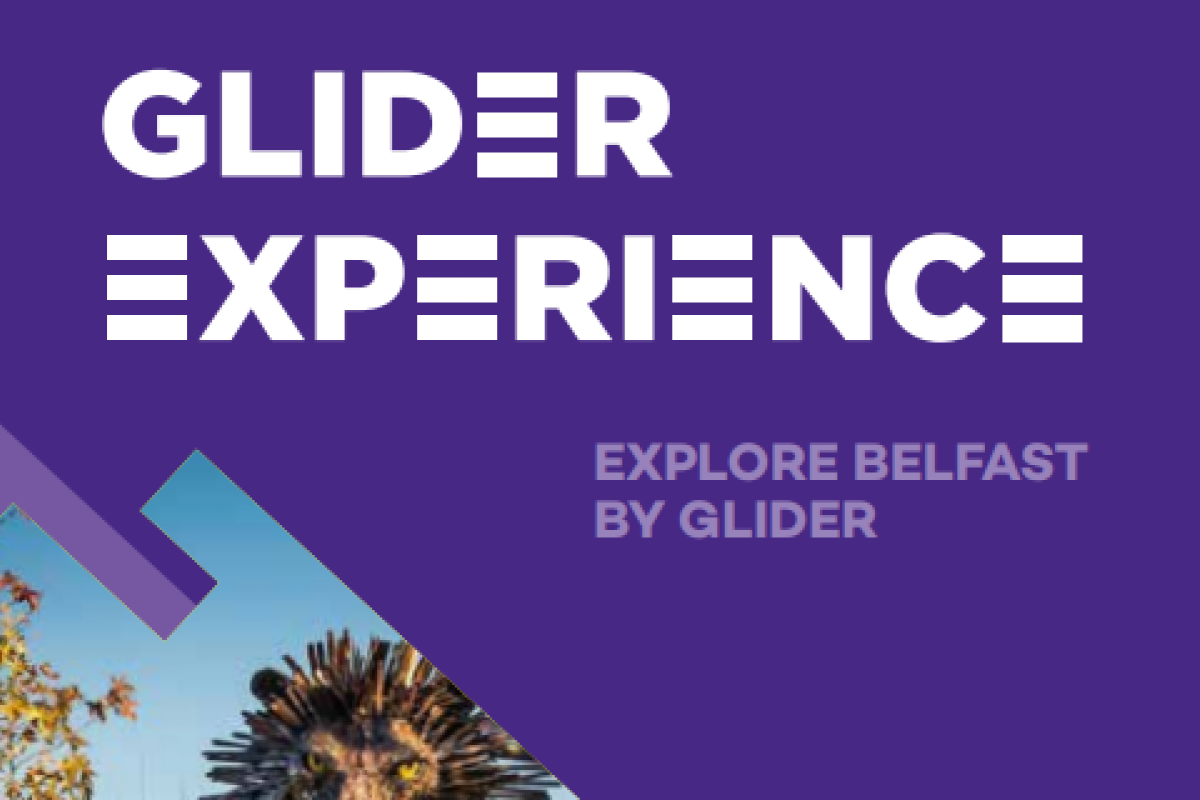 Glider Experience - Public Transport to explore east and west Belfast 
